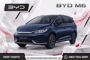 BYD M6